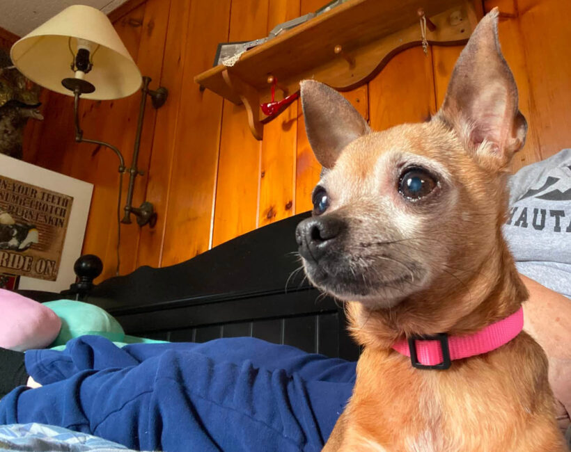 Frannie-Adopted! Frannie-Adopted!