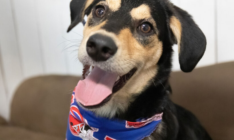 Monty-Adopted!