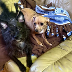 Sweetie & Margie