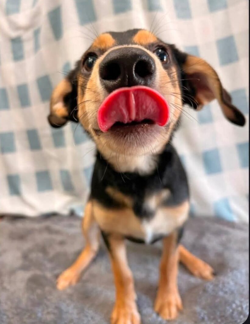 Monty Monty
