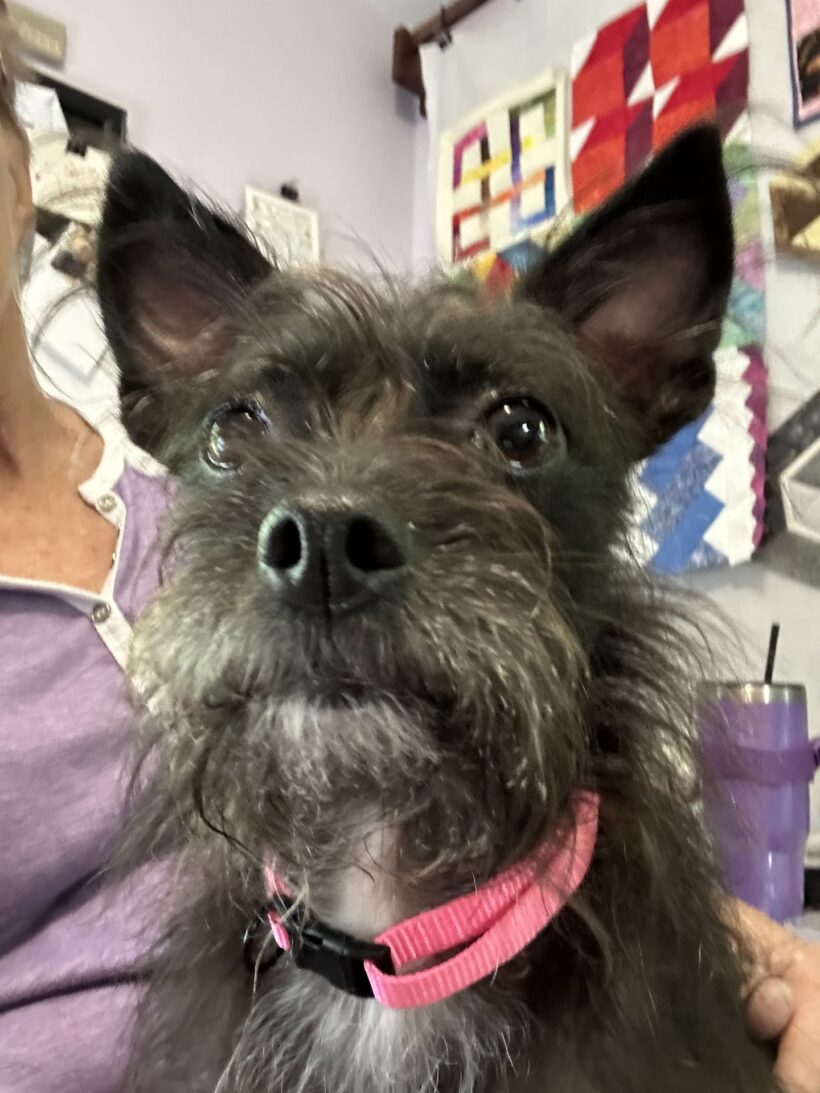 Maggie Maggie