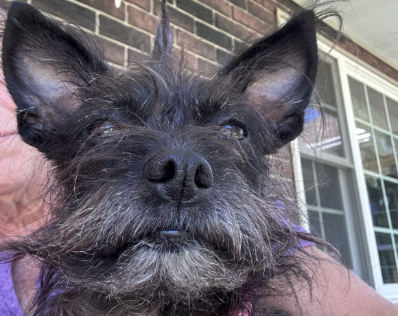 Maggie