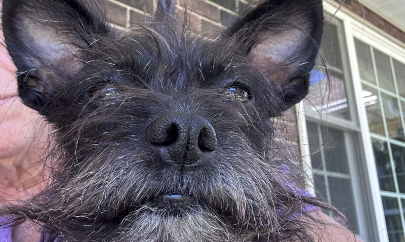 Maggie