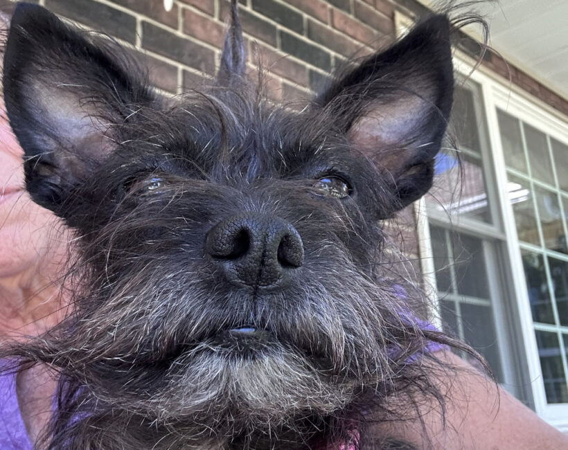 Maggie Maggie