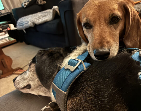 Wally and Trudie