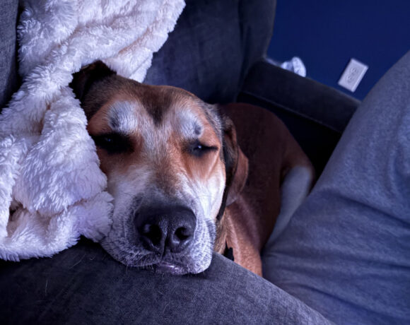 Dug
