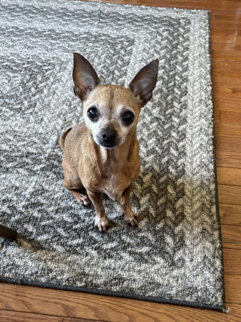 Tiny