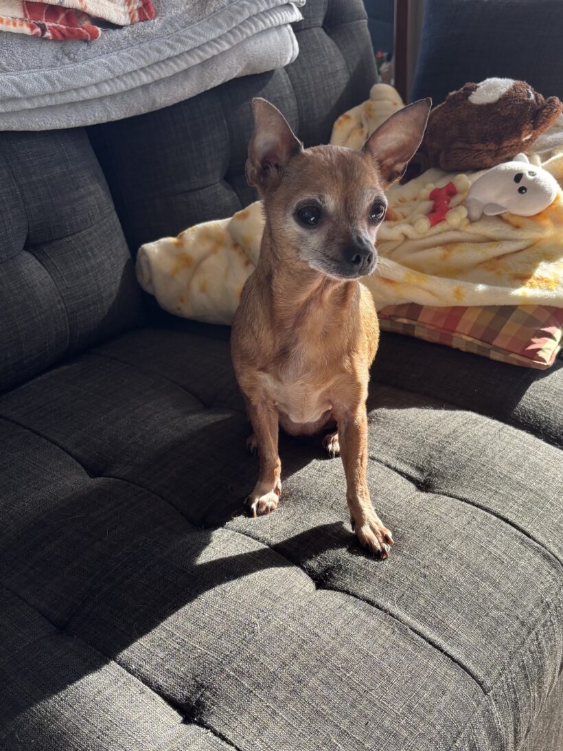 Tiny